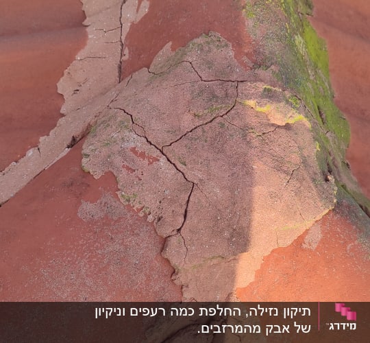 רעפים שבורים עם טחב ירוק על הגג